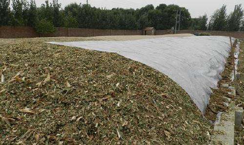 關注丨珠穆朗瑪峰成了一座“垃圾峰”？